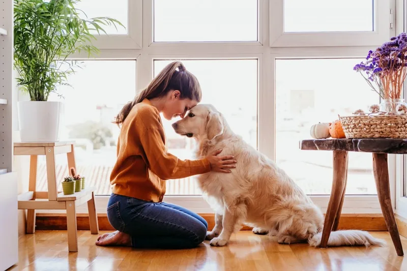 Frau umarmt ihren Hund am Fenster